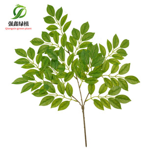 Populus euphratica leaf engineering large branches decoration green leaves fake leaves beans flower leaves sophora elm money tree bonsai flower arrangement high simulation