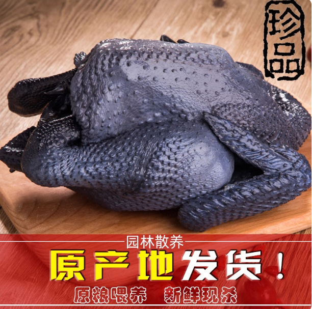 散养乌骨鸡现杀新鲜土鸡农家乌鸡小公鸡活鸡生鲜老母鸡走地鸡整只