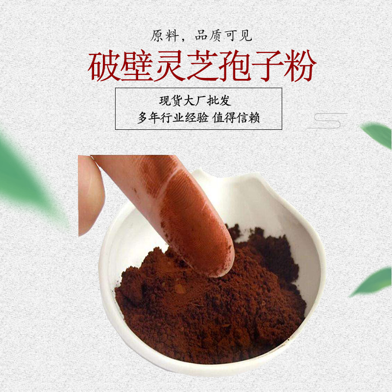 破壁灵芝孢子粉 灵芝提取物 灵芝多糖 发酵灵芝粉