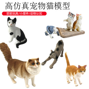 �׃��@�ƽ��J֪����ģ����� �羳��ͯ���ǿ�ͨ���挙��؈��[��