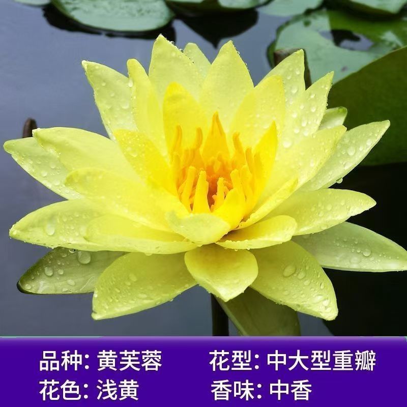 79b24cb1-63d5-49ac-a11e-0ecfe6596166.jpe