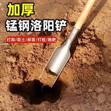 洛阳铲挖土打洞挖硬土加厚锰钢淬火取土器种树神器挖坑打桩挖山药