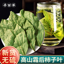 干柿子叶中药材新鲜柿子叶茶泡茶水干货柿子叶粉柿叶非霜后柿子叶