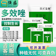 国光多效唑 立效15%多效唑水稻秧田控制生长控旺生长调节剂