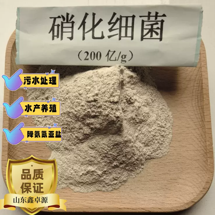 硝化菌 好氧菌 微生物菌剂水产养殖污水处理 硝化细菌