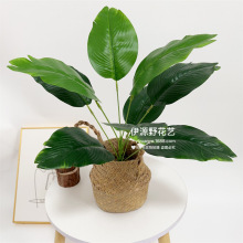 ����ֲ��9�^���˽������B���W��Ž��~�Gֲ�@���b��쾰�٘�羳