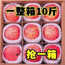 洛川红富士苹果新鲜当季水果冰糖心脆甜10斤整箱包邮