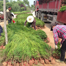 luؘ ٹ·̾GɰؘuAؘ1-6׸