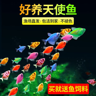 ��ʹ�~�~���^�p�~С���~�Ꭷ��ˮ���B�ͻ���B���B��ɫ��̖Ⱥ���~