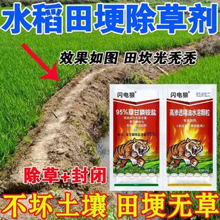 �����Ĺ�����ˮ���﹡���݄��r����݄��ߝ�Ȳݸ�좲����������l