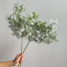仿真鸡毛叶银叶菊 鹿角叶 羊角叶家居插花花艺手捧花花束配材装饰