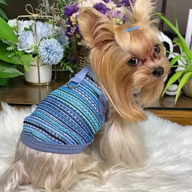 Ropa de mascotas lindas perros gatos Teddy Boomerang pequeña princesa encantadora que osos anti-chaleco de pelo