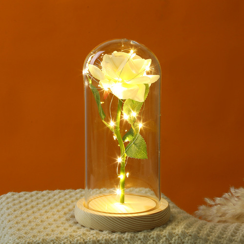 Acrylic New Style Eternity Flower Qixi Gift Creative Atmosphere Decoration Lamp Rose Transparent Micro Landscape Ornament