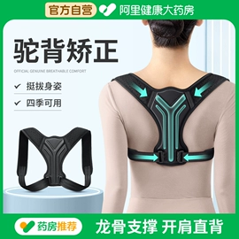 形体矫正器;保健护具;收腹带收腰带