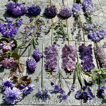 新款紫色婚慶仿真花批發 淺紫色雪青色紫藍婚禮堂裝飾假花絹花花