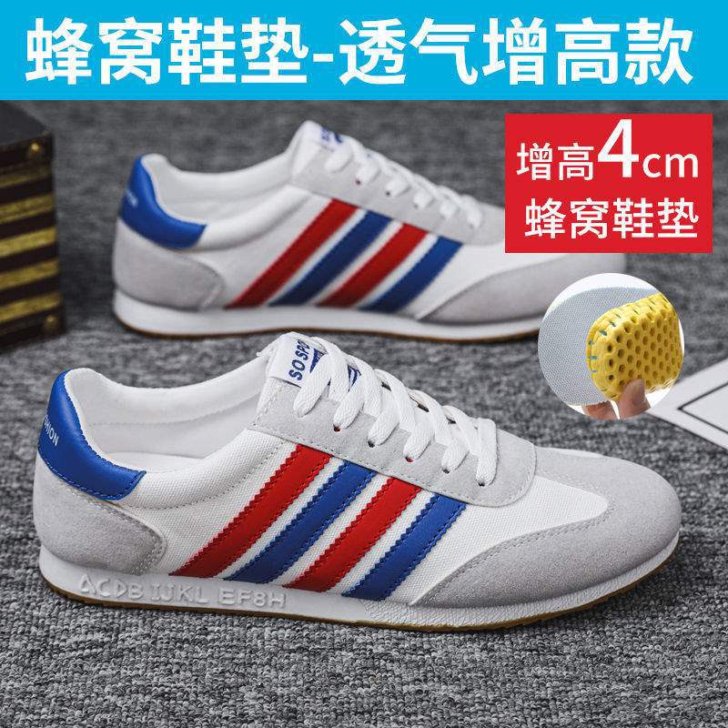 [업그레이드된 키높이 모델] K01-블루레드