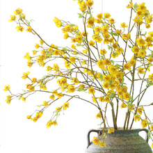 ���滨÷���Ҿ��b�ܛ֦�D÷�Ӱ巿�廨�OӋ��ˇ���������L֦÷