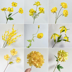 �Sɫ��c���滨�Ļ�ˇ��c·�����Ų����b���õ��ĵ������2