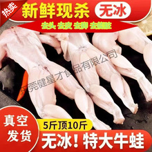 牛蛙冷冻鲜活新鲜特大田鸡青蛙肉半成品腿蛙肉批串商用石蛙发怀旧