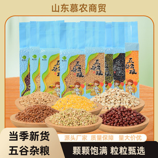 ���l500g����s�Z�M��N����ּZ��λ�M���������ֶY