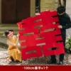 100 Zhengxi
