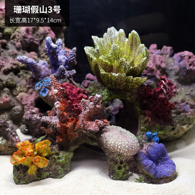 珊瑚jk015