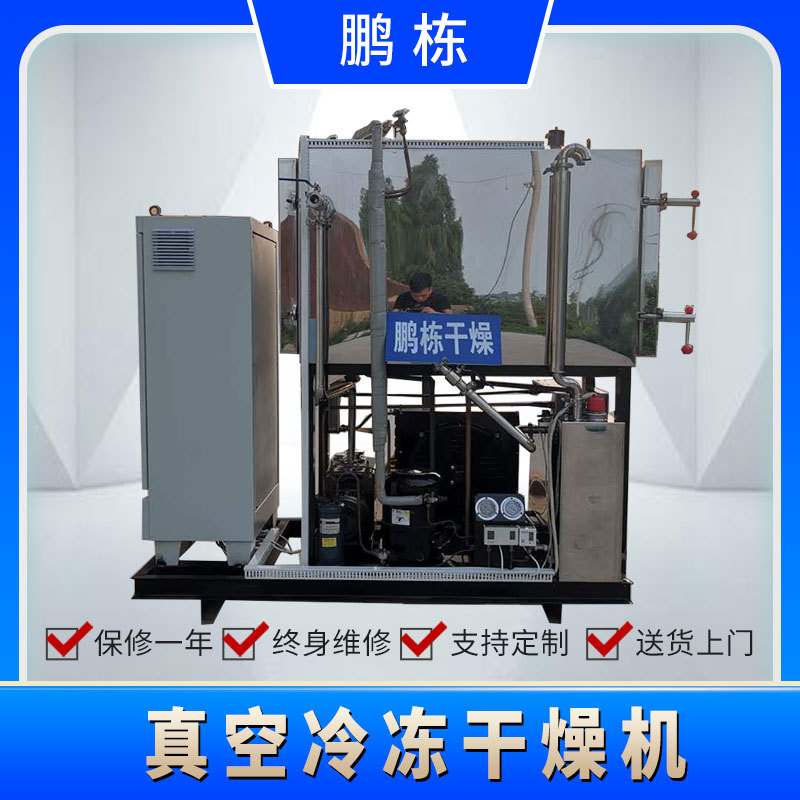 猕猴桃冻干设备红毛丹冷冻真空干燥机水果低温冻干机