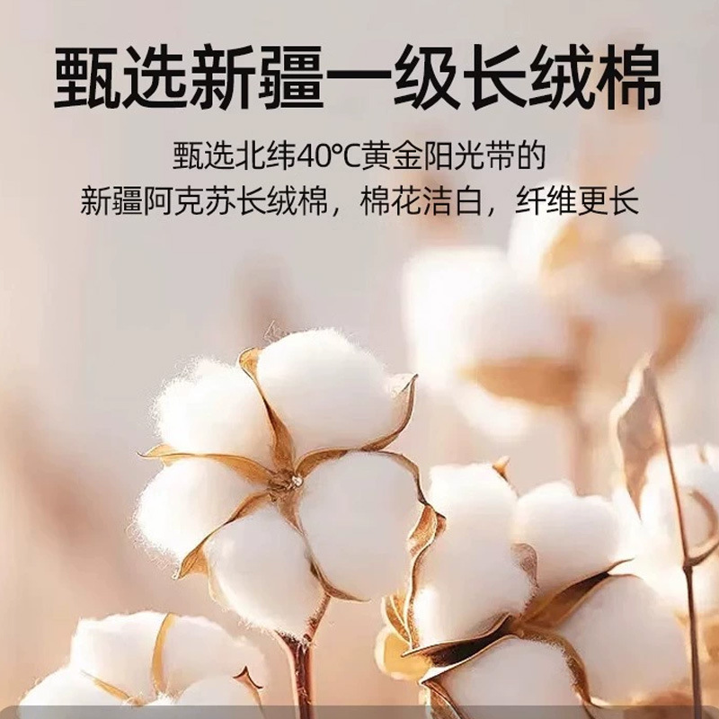 Nuevo estilo de gama alta 100 sábanas de algodón de fibra larga funda de colchón de algodón de una sola pieza funda protectora de colchón nuevo