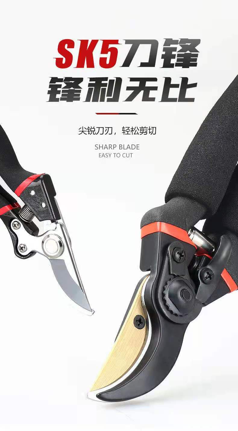 ΢��ͼƬ_20210908212848