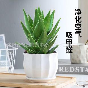 �J�C�����҃ȾGֲ����ȩ�k���҃����՚����ֲ�ﲻ���ͺ����B�辰