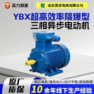 YBX4粉尘防爆电机380v电动机三项4/7.5/11kw三相异步电动机