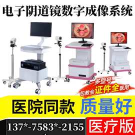数字高清宫颈内窥镜检测妇科私密检查仪阴道镜  数码电子阴道镜价