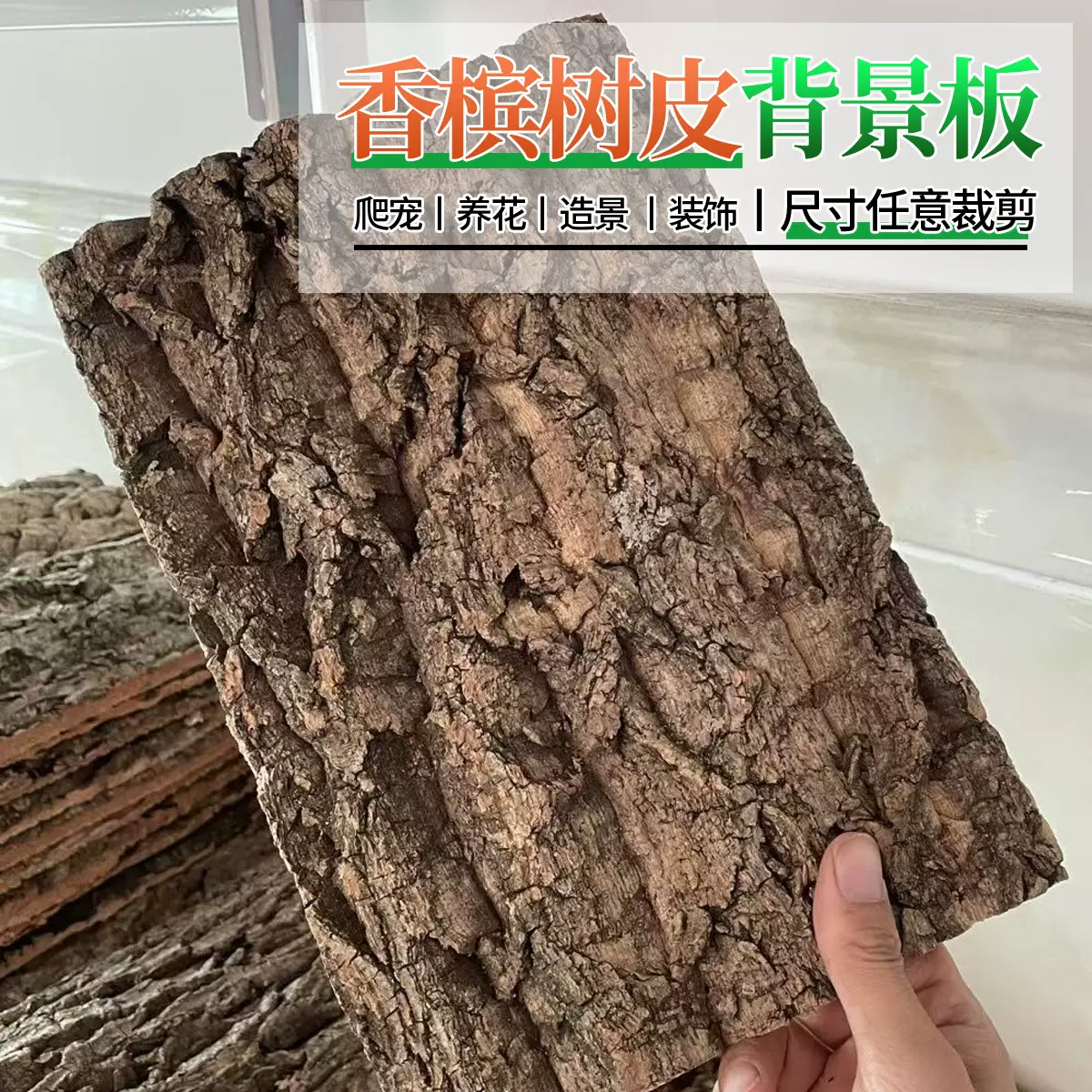 香槟真树皮装饰软木蜘蛛守宫蜥蜴躲避宠物造景背景板爬宠攀爬