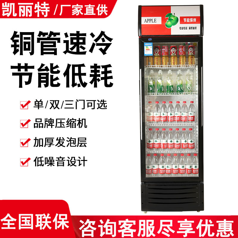 饮料展示柜啤酒柜商用冷藏冰柜双开门冷饮柜单门冷藏立式保鲜柜