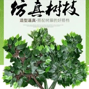 �����Ř��~�ָ��^�z�����Ř�֦�Gɫֲ���~�Ӽ٘���~��֦�����b�