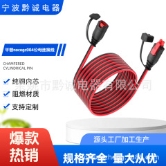 工厂批发适配顶替gc008GENIUS1 GENIUS2 G750 G4公母对插延长线