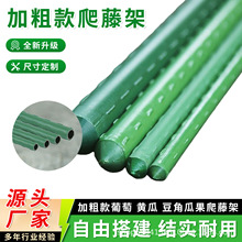 ���ټ��S�϶������ѹϹ��߲˹̶�֧��ͥԺ���������M�ϼܹ��S���l