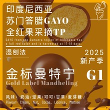 涹25ӡŴGAYOˮϴ17-18ĿG1TPѡ