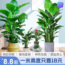 �����Bֲ�������B�����k���ҿ͏d�Gֲ����Gֲ�҃ȹ��S���l���]