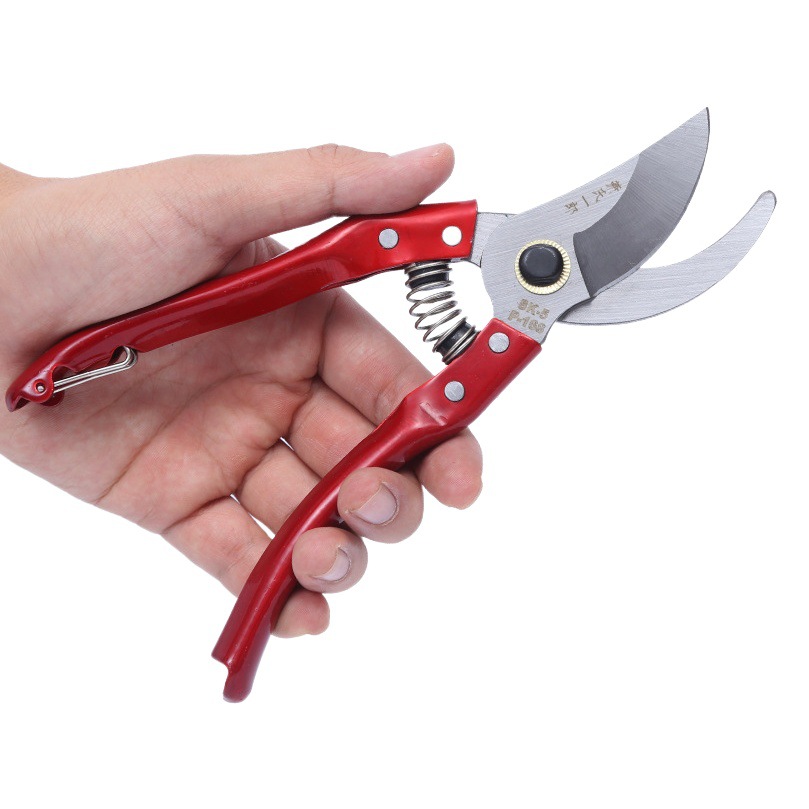 Fábrica en stock hogar herramientas de poda Greening tijeras de recolección de árboles frutales tijeras de jardinería poda de jardín tijeras de podar de frutas tijeras de podar