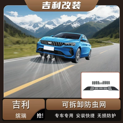Geely Binrui anti-insect net, radiator grille protection net, anti-mosquito and lint-specific accessory, snap-on car accessory (Automobile anti-insect net)