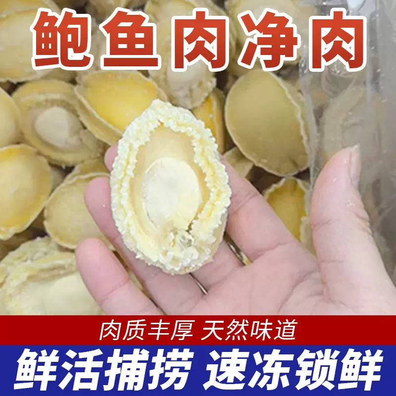 新鲜冷冻鲍鱼速冻鲍鱼净肉去壳去内脏活冻鲍鱼佛跳墙烧烤串串商用