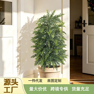 �羳����Gֲ؈β��С�ز��ͥԺ�Ҿ����Ի�ƿ�쾰�b�Ʒ����F؛