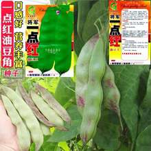 东北油豆角种籽将军一点红油豆春秋季播特长豆四季芸豆蔬菜种子