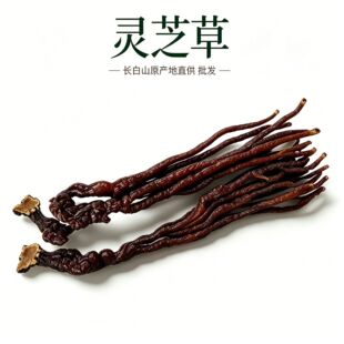 ���l�`֥����ș�� �L��ɽ�خa��֦500g���ݾ�����֥��֥����ă�