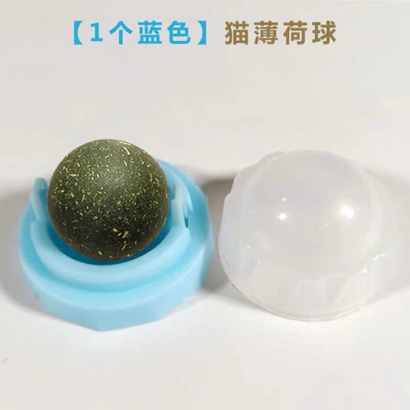일반 핑크 블루