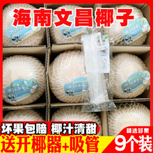 9个装去皮海南椰子新鲜椰青热带当季孕妇水果特产整箱青椰老椰子