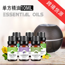 羳ֲη10ml Essential Oil ޹CU㾫͏SֱN
