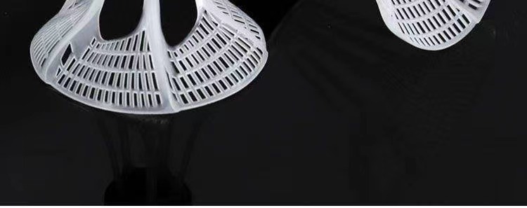 06867557-ddd1-44c3-ba95-53af4ce06000.jpe