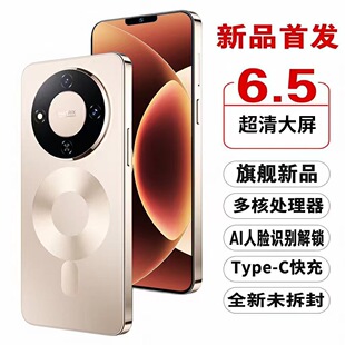 2026�¿�80�������6.5Ӣ���֙C�p���p��ȫ�Wͨ256G�ȴ��֙C�W��